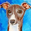 Italian Greyhound Head Paint By Number