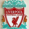 Liverpool Football Emblem Paint By Number