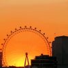 London Eye Sunset Silhouette Paint By Number