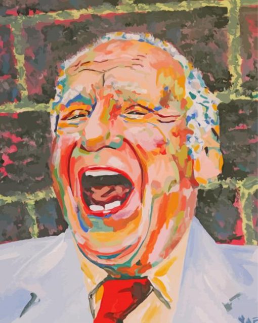 Mel Brooks Art Paint By Number