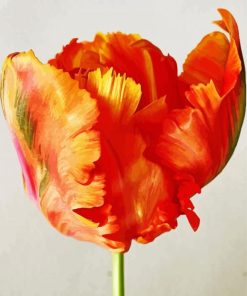 Parrot Tulip Paint By Number