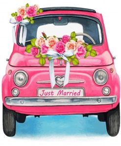 Pink Vintage Flower Car Paint By Number