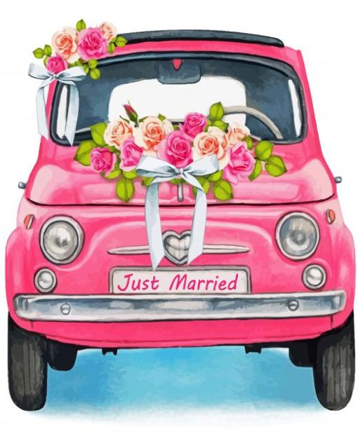 Pink Vintage Flower Car Paint By Number