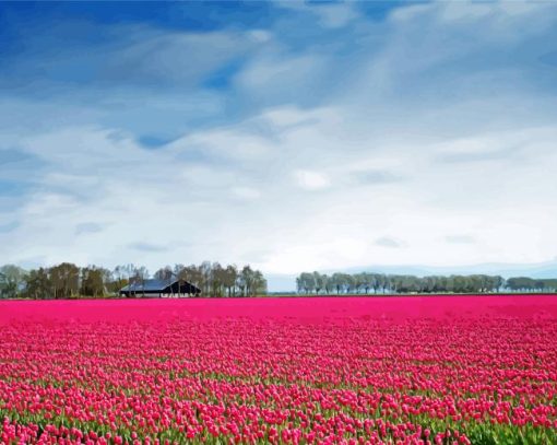 Pink Rose Field Paint By Number