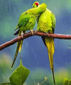 Romantic Birds In Rain Paint By Number