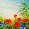 Summer Field Of Flowers Art Paint By Number