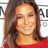 The Actress Emmanuelle Chriqui Paint By Number