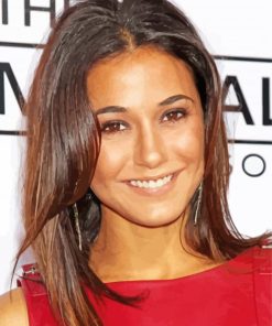 The Actress Emmanuelle Chriqui Paint By Number