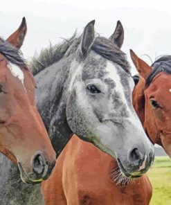 Three Happy Horses Paint By Number