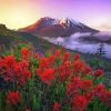 Wild Flowers And Mountains Paint By Number