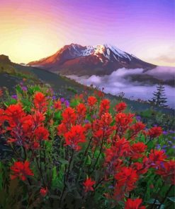 Wild Flowers And Mountains Paint By Number