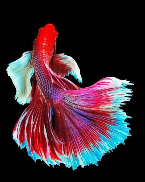 Wonderful Elegant Fish Paint By Number