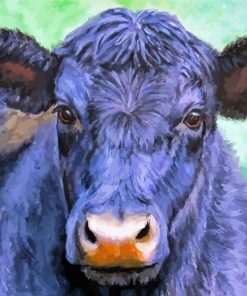 Aesthetic Aberdeen Angus Art Paint By Number