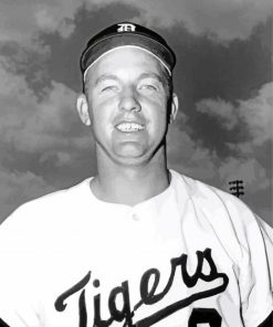 Al Kaline Baseball Player Paint By Number