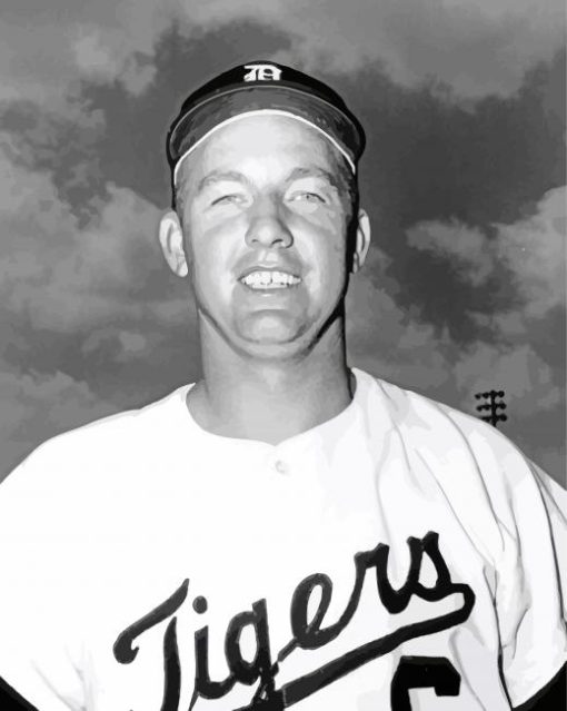 Al Kaline Baseball Player Paint By Number