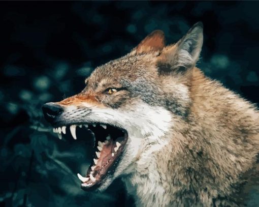 Angry Wolf Animal Paint By Number