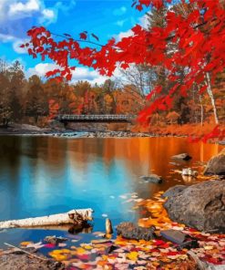 Autumn Lake Landscape Paint By Number