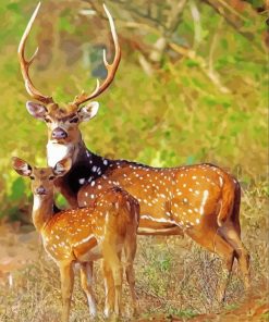 Axis Deer Animals Paint By Number