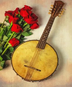 Banjolele And Red Roses Paint By Number