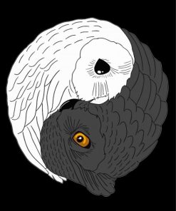 Birds Yin Yang Paint By Number