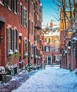 Boston Beacon Hill In Winter Paint By Number