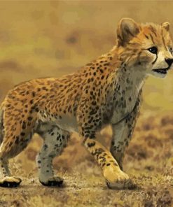 Cheetah Baby Paint By Number