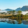 Connemara Park Trees Reflection Paint By Number