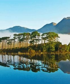 Connemara Park Trees Reflection Paint By Number