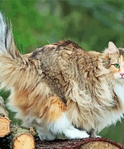 Large Fluffy Cat Paint By Number