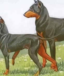 Manchester Terrier Dogs Paint By Number