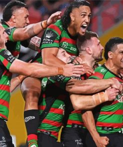 Nrl South Sydney Team Paint By Number