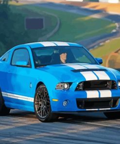 White And Blue Mustang Sport Car Paint By Number