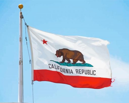 Aesthetic California Flag Paint By Number