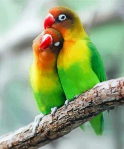 Aesthetic Parrot Love Bird Paint By Number