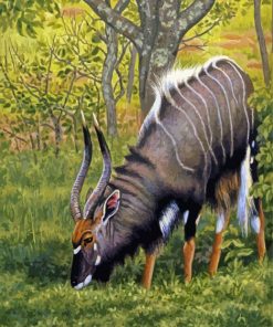 Cool Nyala Paint By Number