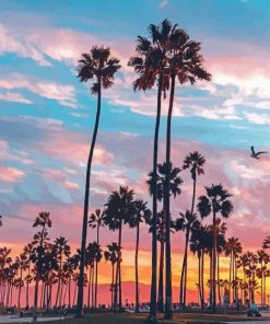 Palm Trees California Sunset Paint By Number