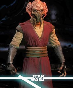 Star Wars Plo Koon Paint By Number