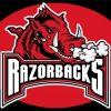 Aesthetic Arkansas Razorbacks Paint By Number