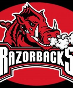 Aesthetic Arkansas Razorbacks Paint By Number