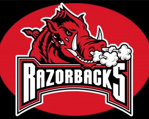 Aesthetic Arkansas Razorbacks Paint By Number