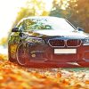 BMW 535i Car Paint By Number