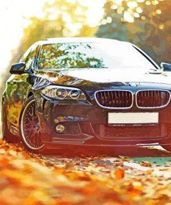 BMW 535i Car Paint By Number