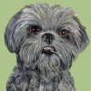 Black Shih Tzu Dog Paint By Number