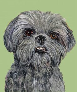 Black Shih Tzu Dog Paint By Number