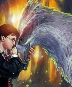 Buckbeak And Harry Paint By Number