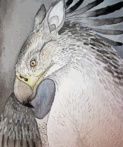 Buckbeak Art Paint By Number