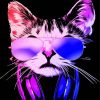 Cat Dj Paint By Number