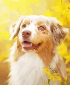 Close Up Blonde Border Collie Paint By Number