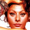 Close Up Sophia Loren Paint By Number