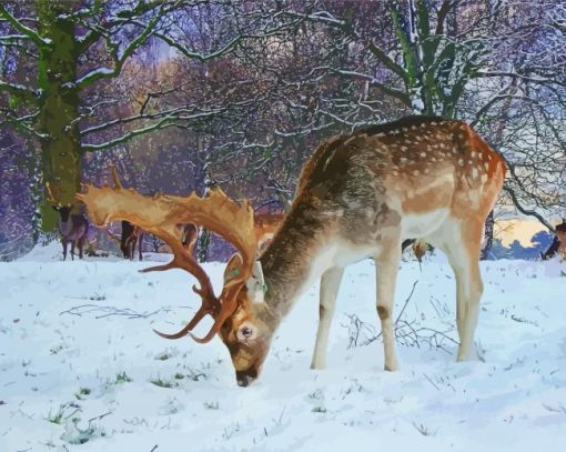 European Fallow Deer In Snow paint by number